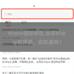 Bitpie国际钱包 选择Bitpie的原因，你知道吗？