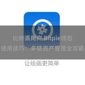 比特派用户 Bitpie钱包使用技巧：多链资产管理全攻略