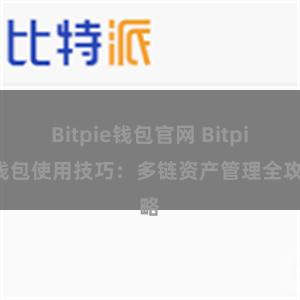 Bitpie钱包官网 Bitpie钱包使用技巧：多链资产管理全攻略