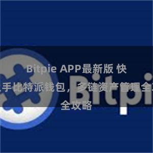 Bitpie APP最新版 快速上手比特派钱包，多链资产管理全攻略