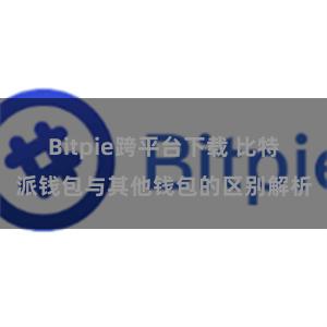 Bitpie跨平台下载 比特派钱包与其他钱包的区别解析