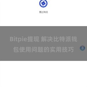 Bitpie提现 解决比特派钱包使用问题的实用技巧