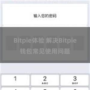 Bitpie体验 解决Bitpie钱包常见使用问题