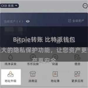 Bitpie转账 比特派钱包：强大的隐私保护功能，让您资产更安全