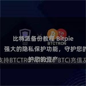 比特派备份教程 Bitpie钱包：强大的隐私保护功能，守护您的资产