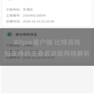 Bitpie客户端 比特派钱包支持的主要区块链网络解析