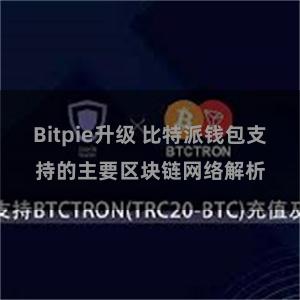 Bitpie升级 比特派钱包支持的主要区块链网络解析