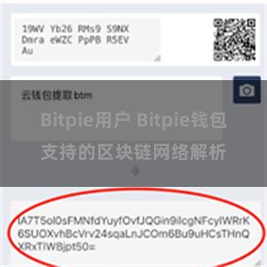 Bitpie用户 Bitpie钱包支持的区块链网络解析