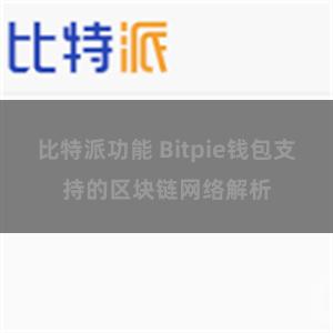 比特派功能 Bitpie钱包支持的区块链网络解析