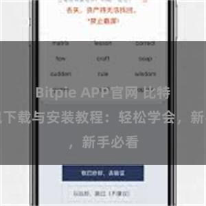 Bitpie APP官网 比特派钱包下载与安装教程：轻松学会，新手必看