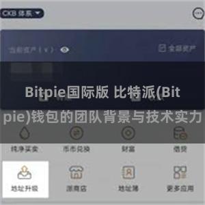 Bitpie国际版 比特派(Bitpie)钱包的团队背景与技术实力