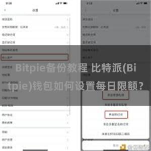 Bitpie备份教程 比特派(Bitpie)钱包如何设置每日限额？