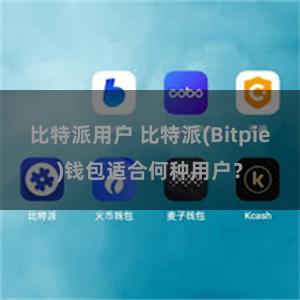 比特派用户 比特派(Bitpie)钱包适合何种用户？