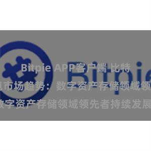 Bitpie APP客户端 比特派(Bitpie)钱包市场趋势：数字资产存储领域领先者持续发展。