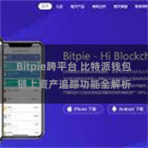 Bitpie跨平台 比特派钱包链上资产追踪功能全解析