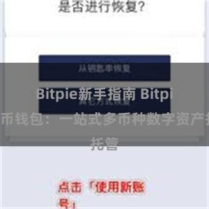 Bitpie新手指南 Bitpie多币钱包：一站式多币种数字资产托管