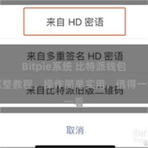 Bitpie系统 比特派钱包完整教程，操作简单实用，值得一看