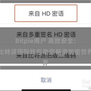 Bitpie用户 高效安全：比特派国际钱包助您畅游加密世界