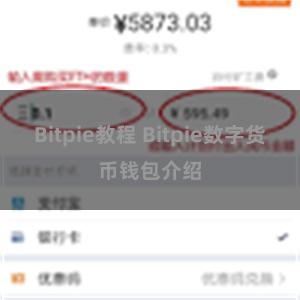 Bitpie教程 Bitpie数字货币钱包介绍