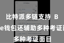 比特派多链支持  Bitpie钱包还辅助多种考证面目
