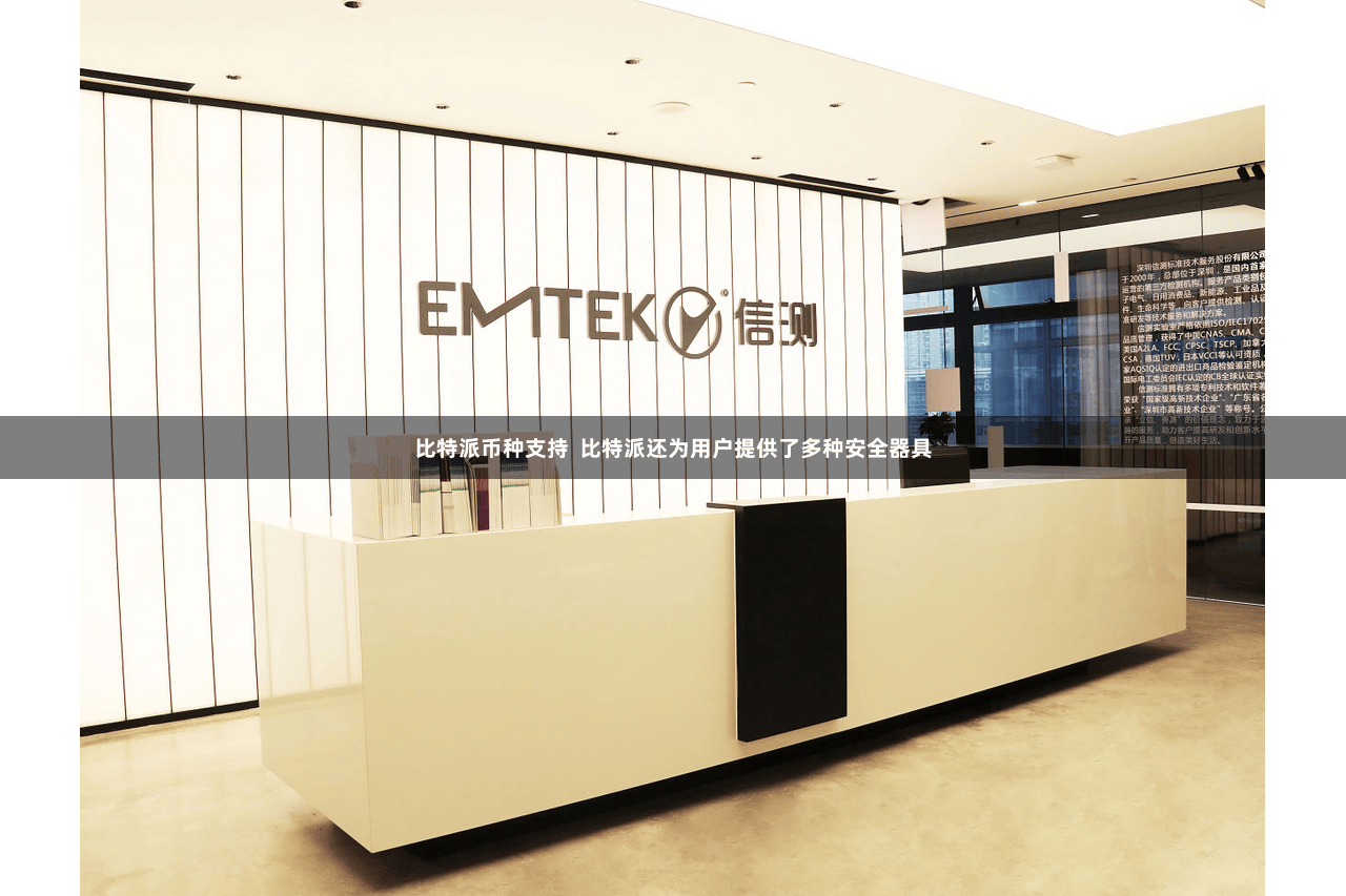 比特派币种支持 比特派还为用户提供了多种安全器具