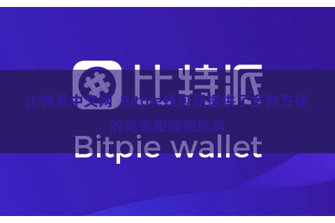 比特派中文网  Bitpie钱包还提供了多种方便的充值和提现形势